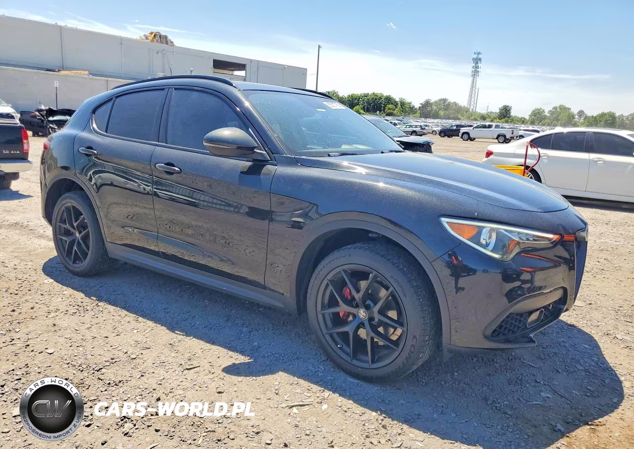 2019 Alfa Romeo Stelvio VIN:ZASPAJAN1K7C71002 - 4
