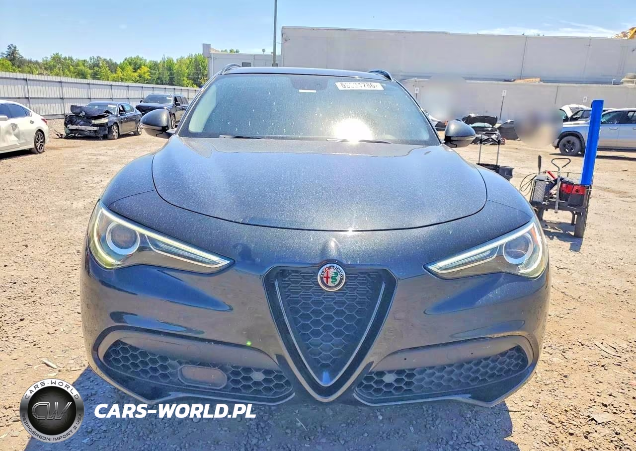 2019 Alfa Romeo Stelvio VIN:ZASPAJAN1K7C71002 - 5