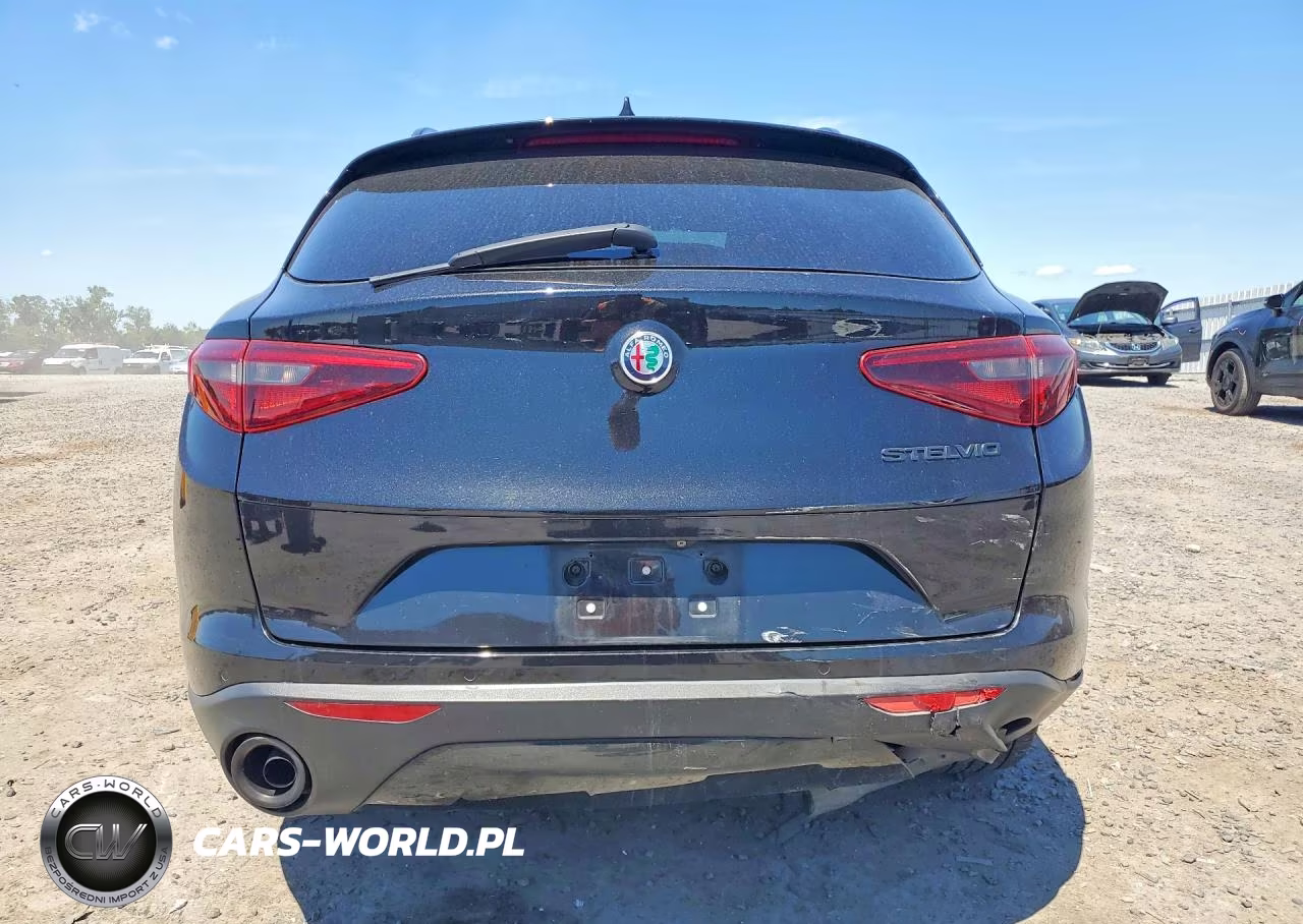 2019 Alfa Romeo Stelvio VIN:ZASPAJAN1K7C71002 - 6