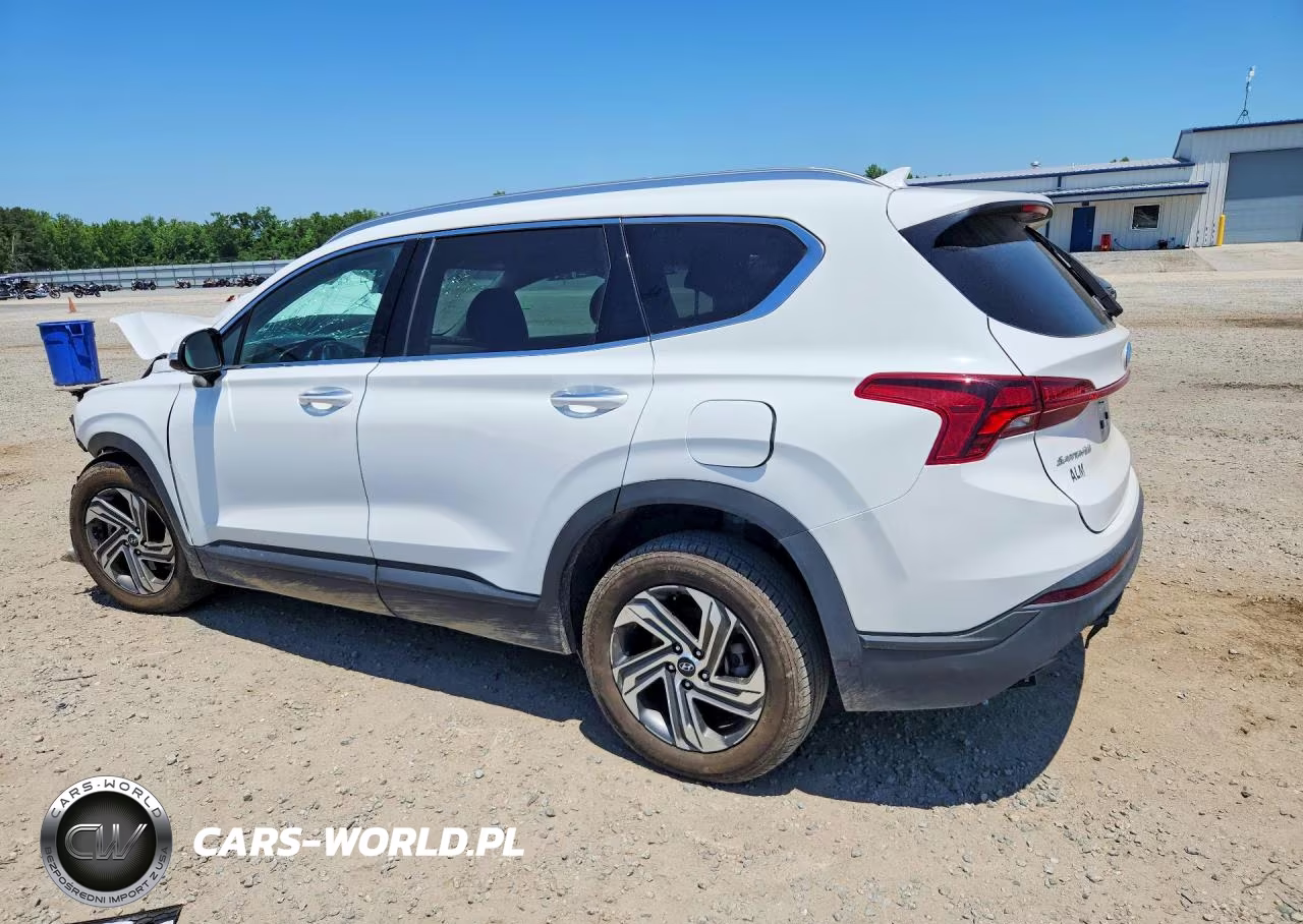 2023 Hyundai Santa Fe Sel VIN:5NMS24AJ3PH617615 - 2