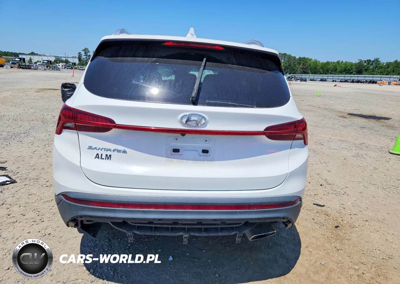 2023 Hyundai Santa Fe Sel VIN:5NMS24AJ3PH617615 - 6