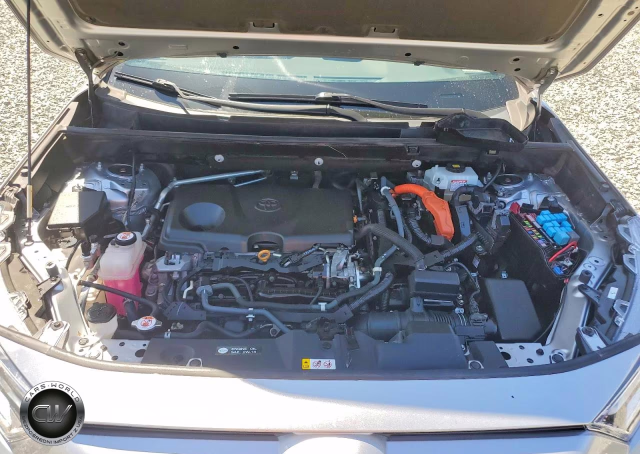 2019 Toyota Rav4 Xse VIN:2T3EWRFV8KW034424 - 12