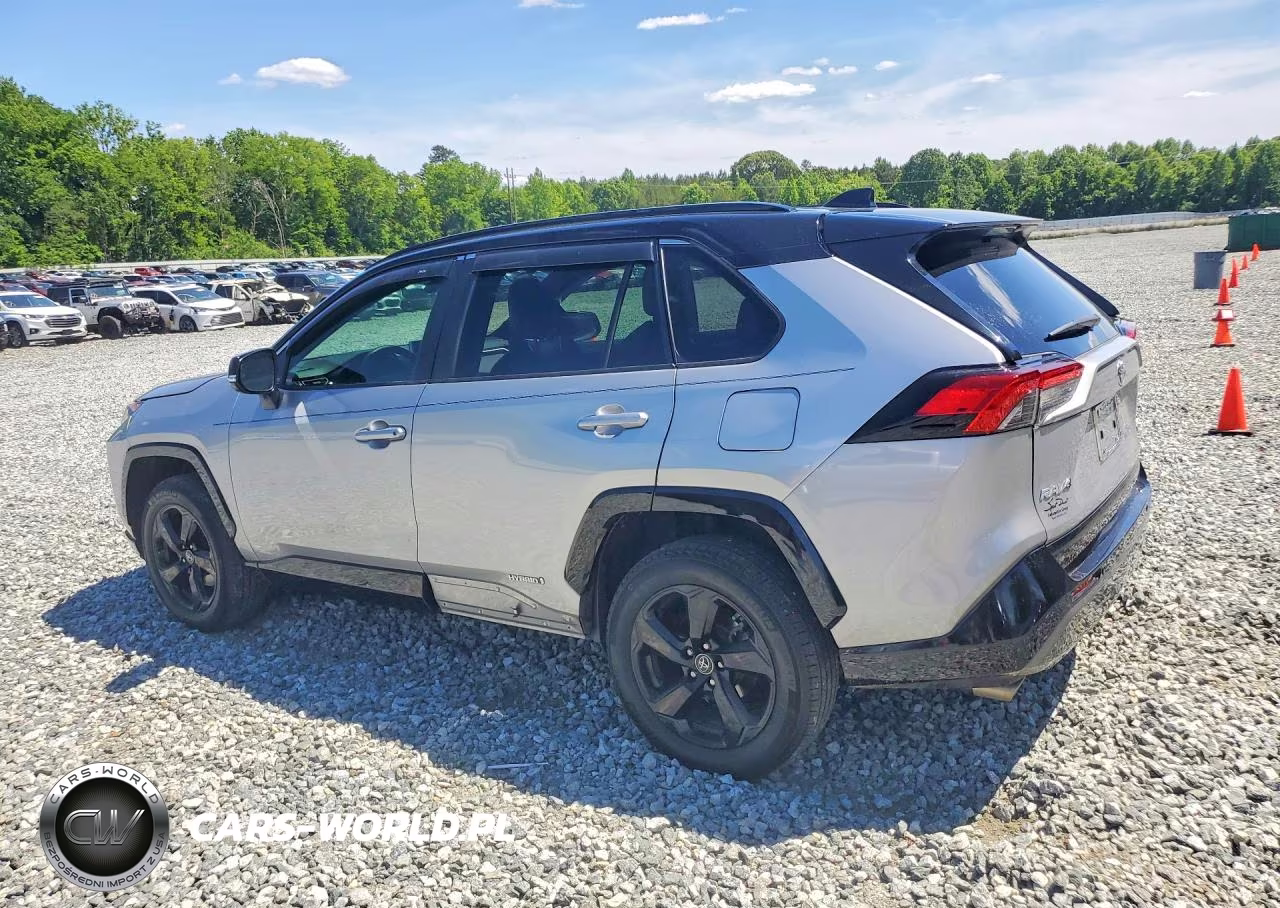2019 Toyota Rav4 Xse VIN:2T3EWRFV8KW034424 - 2