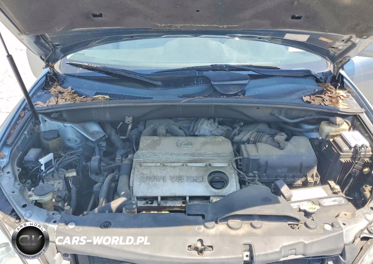 2004 Lexus Rx 330 VIN:2T2GA31U24C006517 - 12