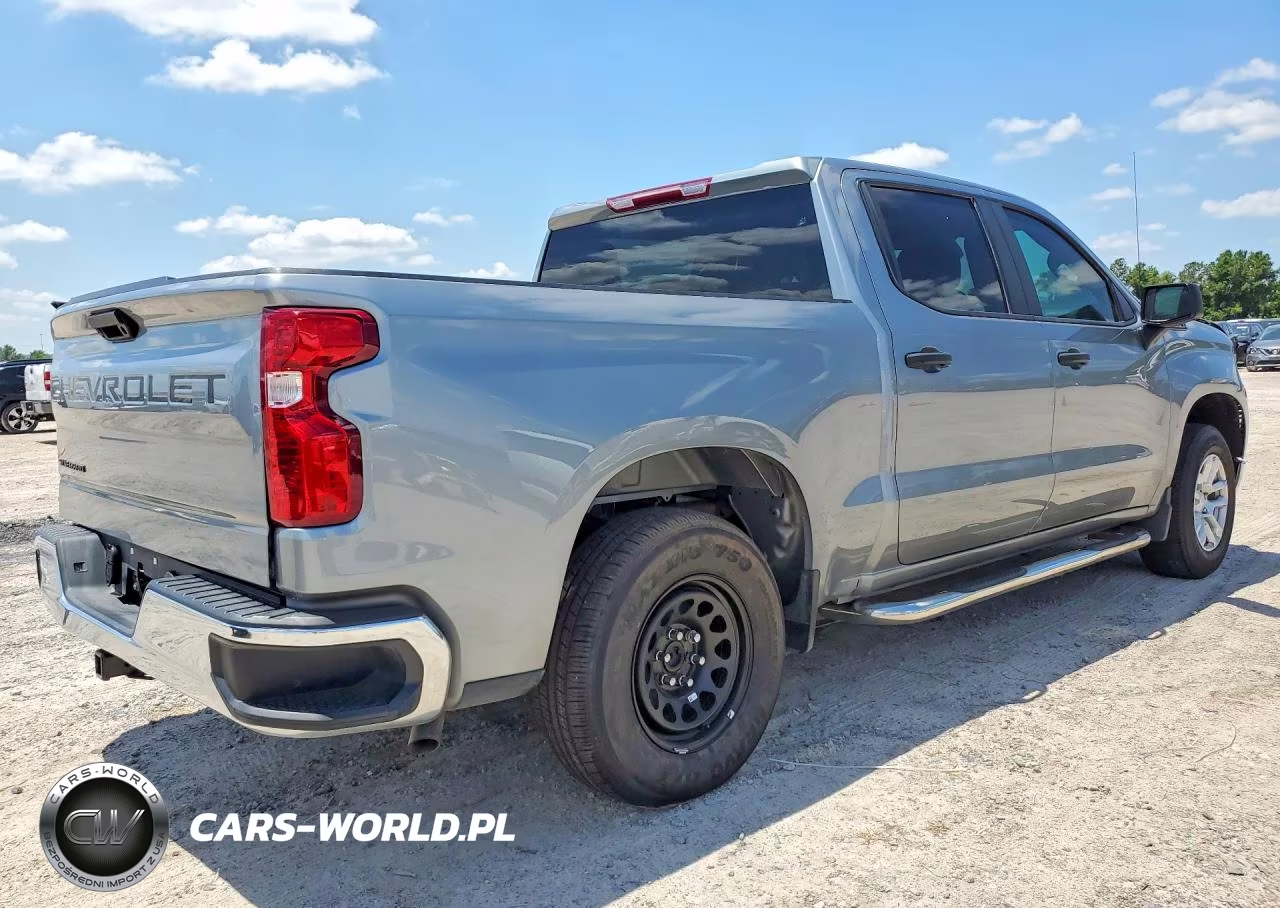 2025 Chevrolet Silverado K1500 VIN:3GCUKAED1SG219593 - 3