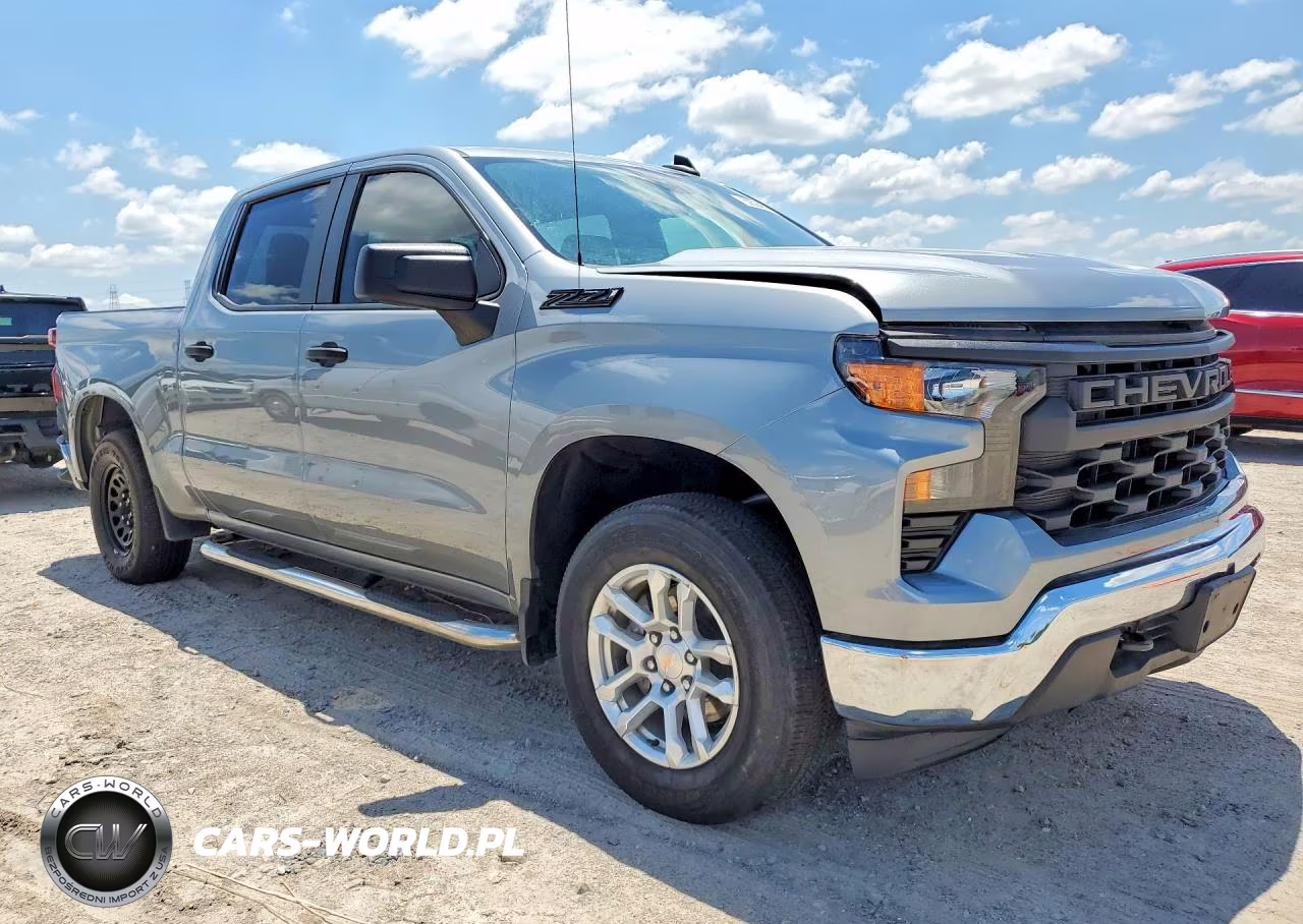 2025 Chevrolet Silverado K1500 VIN:3GCUKAED1SG219593 - 4
