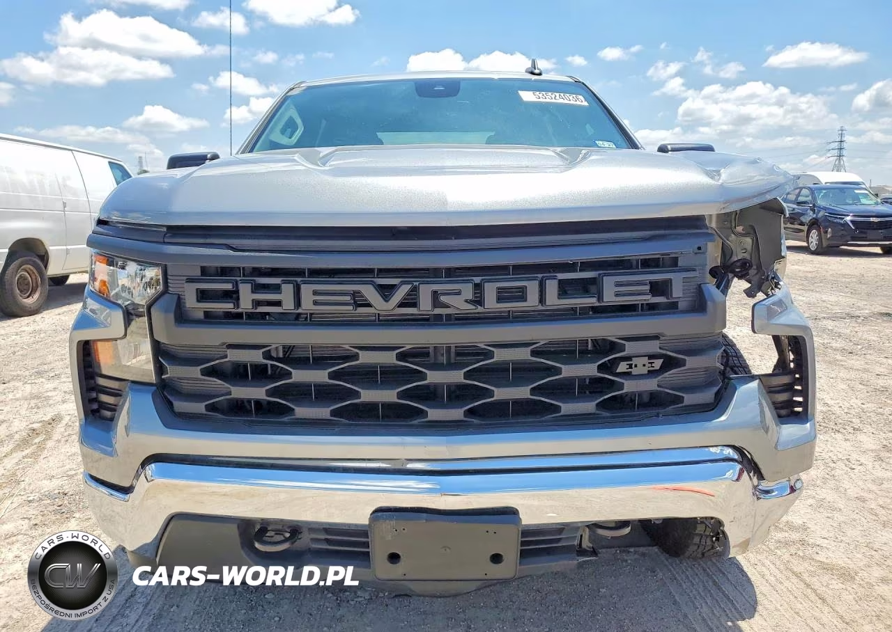 2025 Chevrolet Silverado K1500 VIN:3GCUKAED1SG219593 - 5