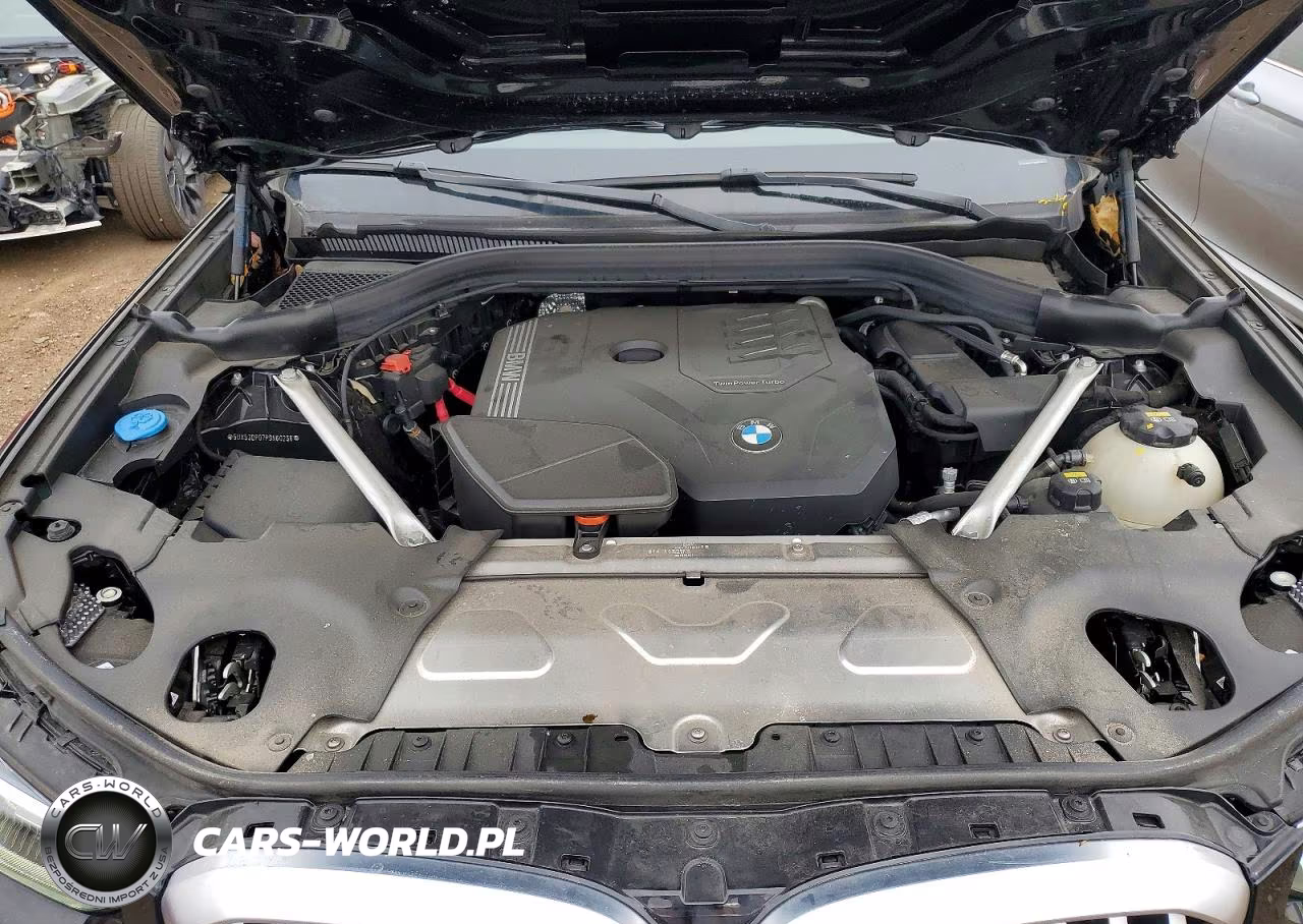 2023 BMW X3 xDrive30I VIN:5UX53DP07P9N60256 - 11