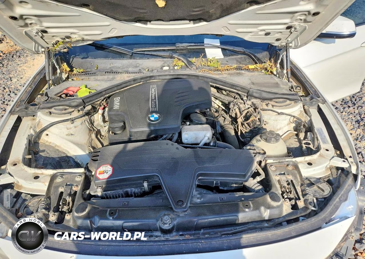 2013 BMW 320 VIN:WBA3B1C5XDK130217 - 11