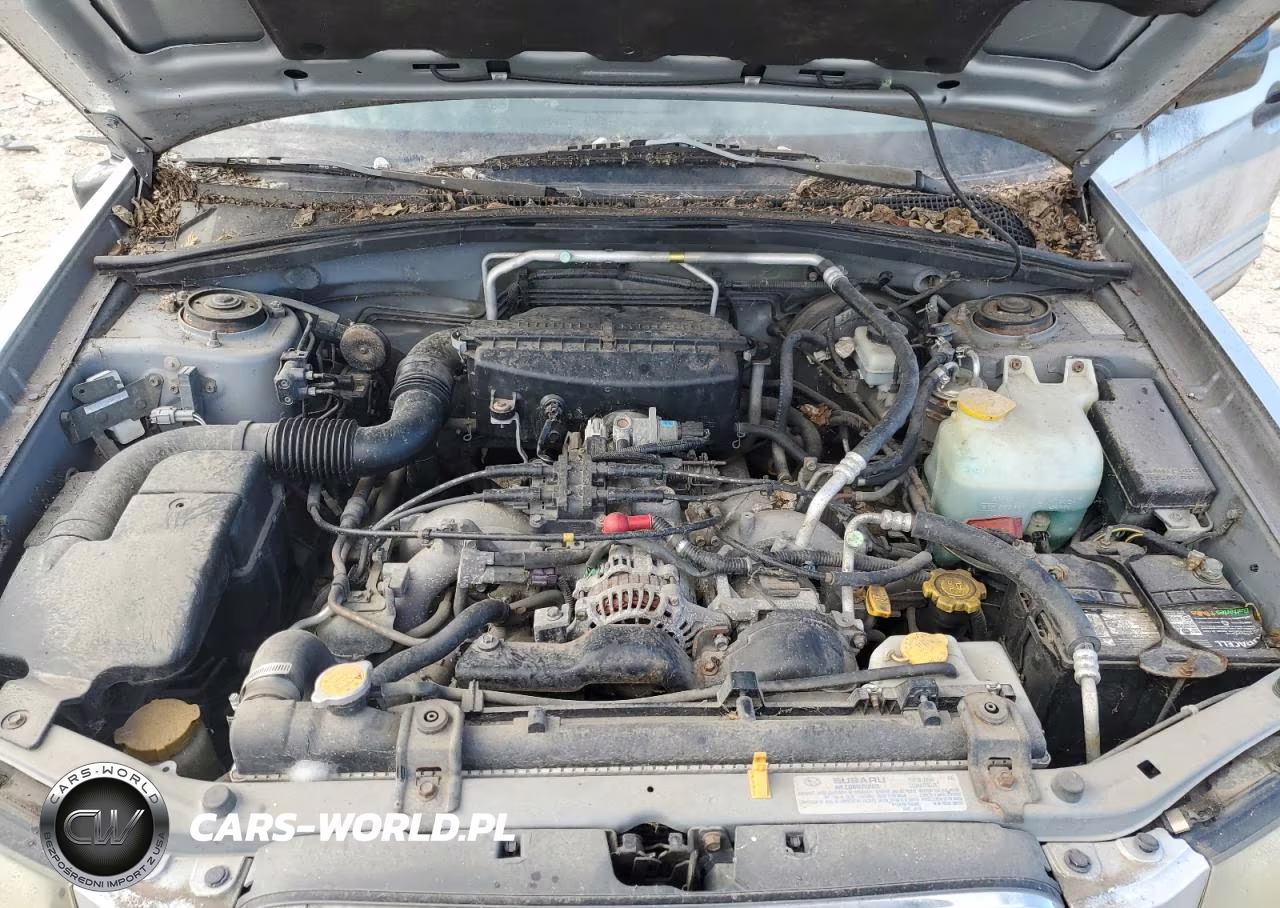 2003 Subaru Forester 2.5Xs VIN:JF1SG65693H715519 - 12