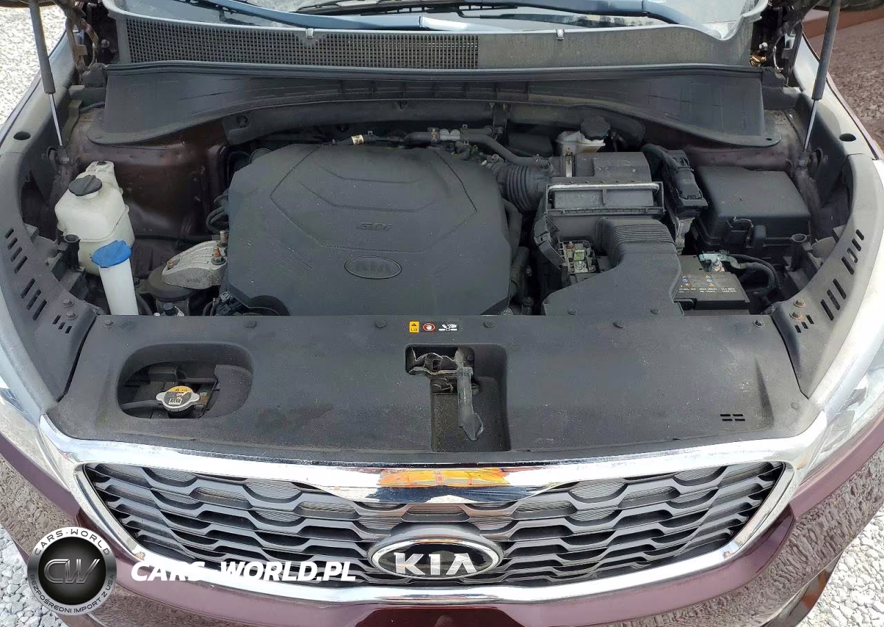 2019 Kia Sorento Ex V6 VIN:5XYPHDA59KG537908 - 12