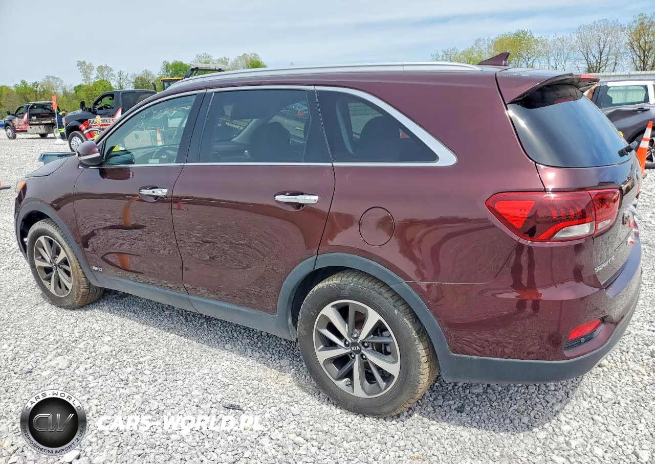 2019 Kia Sorento Ex V6 VIN:5XYPHDA59KG537908 - 2