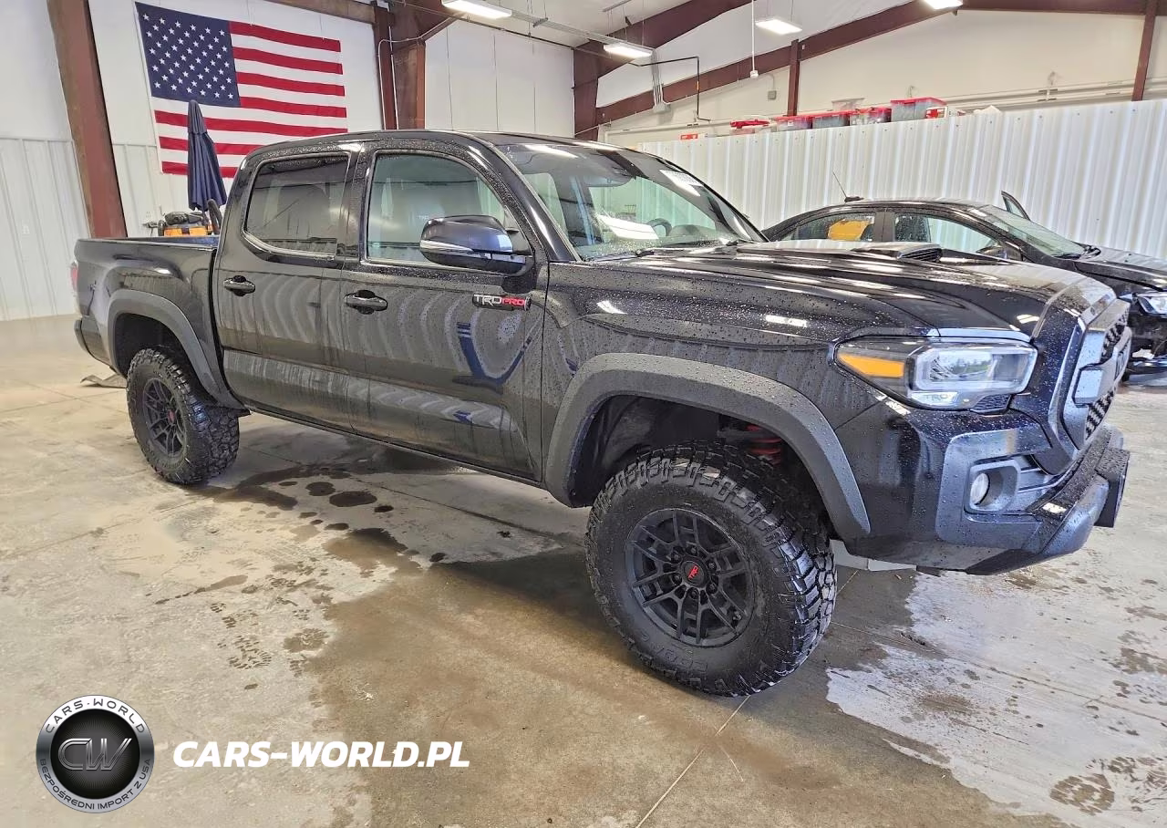 2021 Toyota Tacoma Trd Pro VIN:5TFCZ5AN8MX246236 - 4
