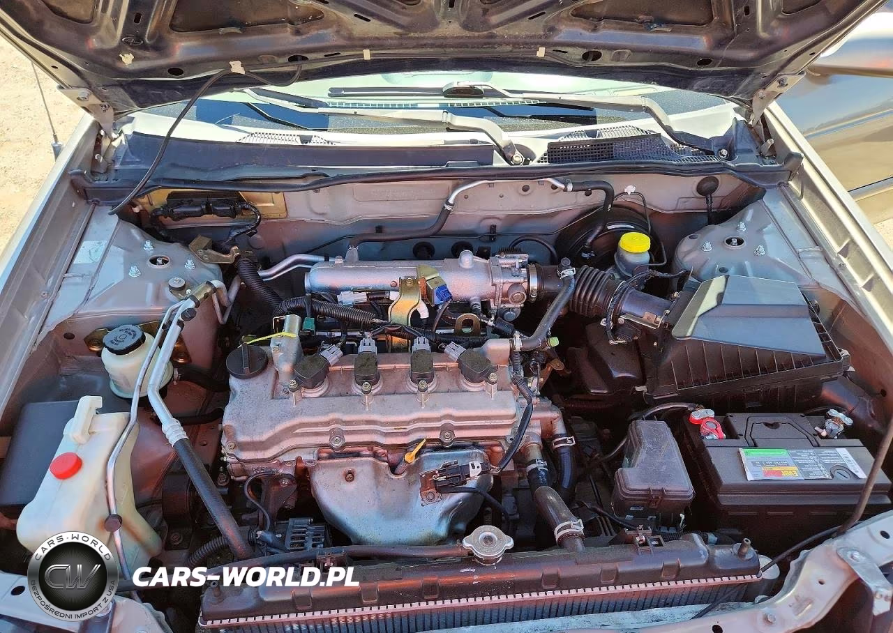 2005 Nissan Sentra 1.8 VIN:3N1CB51DX5L511993 - 11