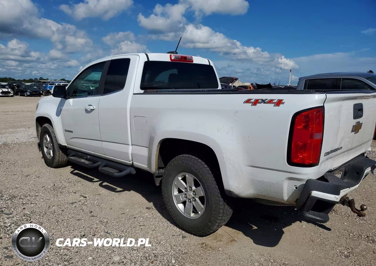 2019 Chevrolet Colorado VIN:1GCHTBEN9K1131645 - 2