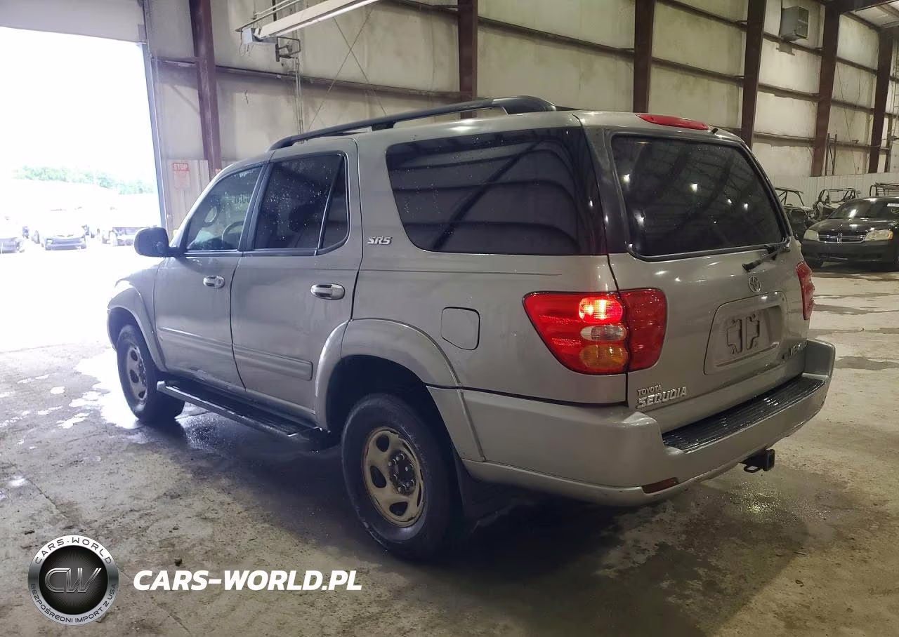 2004 Toyota Sequoia Sr5 VIN:5TDBT44A74S217266 - 2