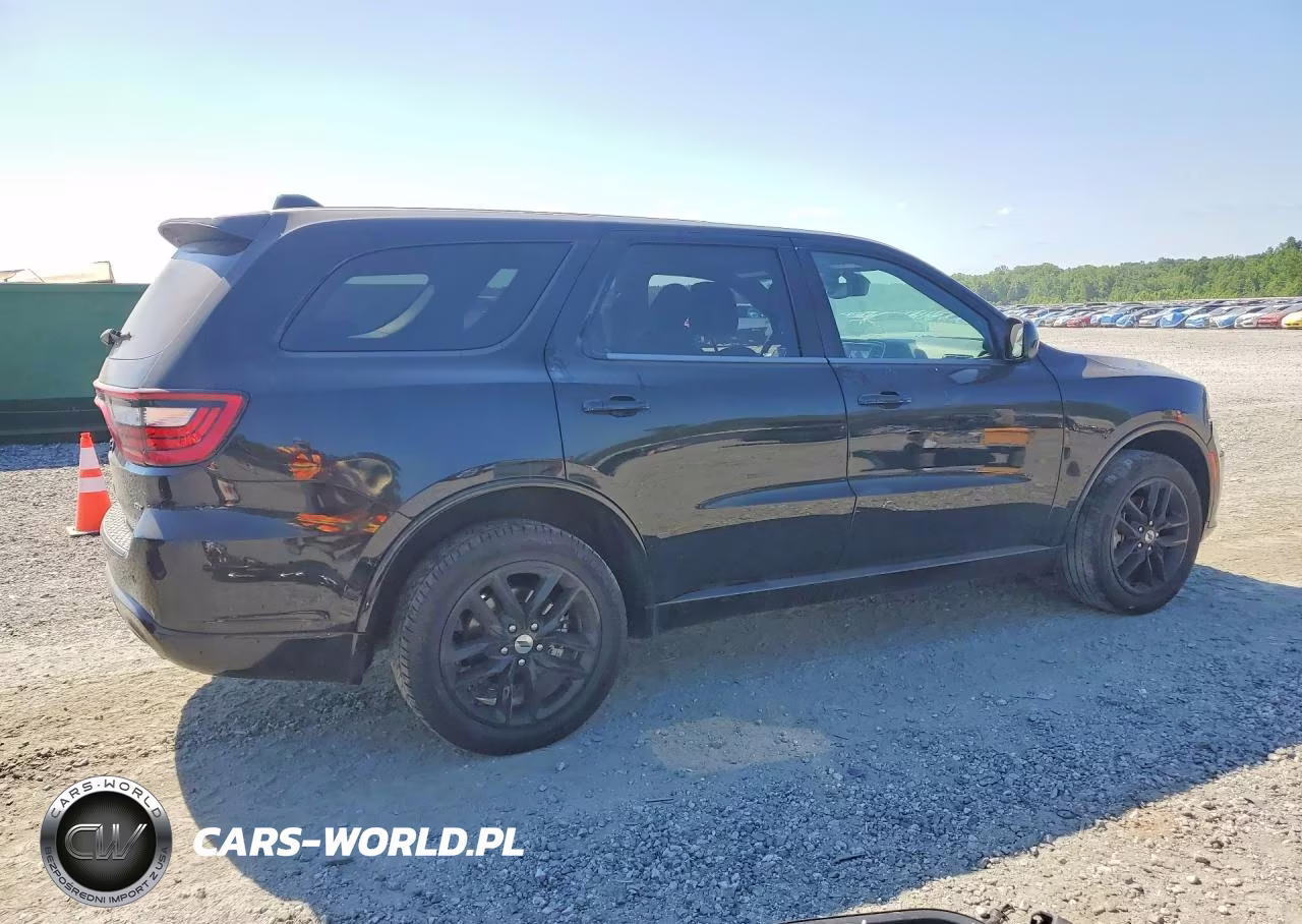 2023 Dodge Durango Gt VIN:1C4RDJDG3PC617619 - 3