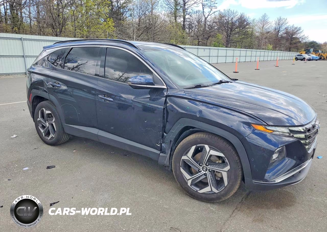 2022 Hyundai Tucson Limited VIN:KM8JECA17NU080925 - 4