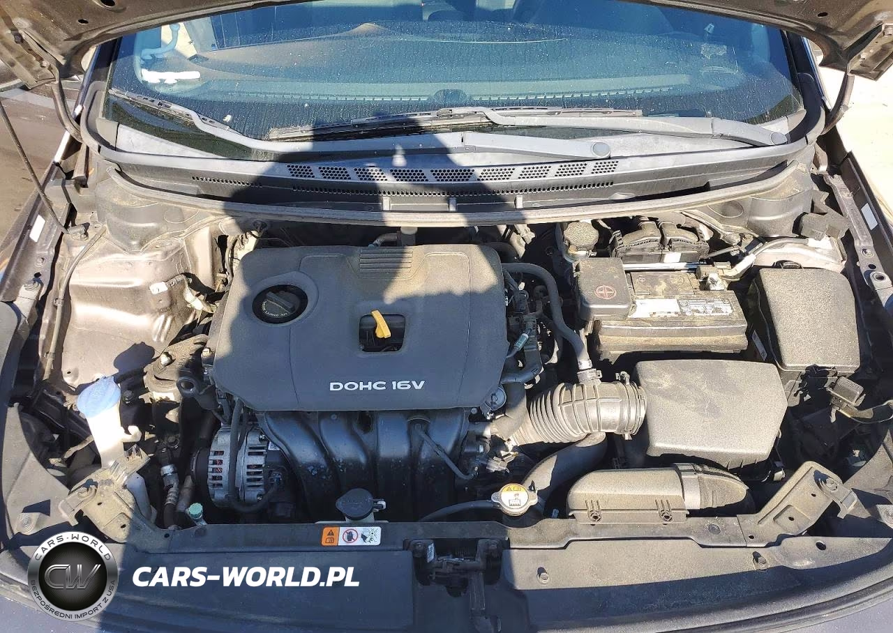 2017 Kia Forte Lx VIN:3KPFK4A70HE146747 - 11