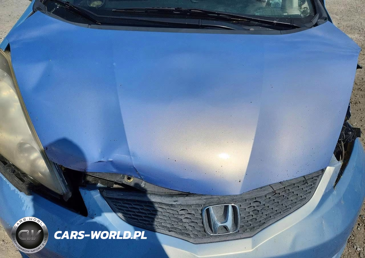 2010 Honda Fit Sport VIN:JHMGE8H44AC032938 - 12