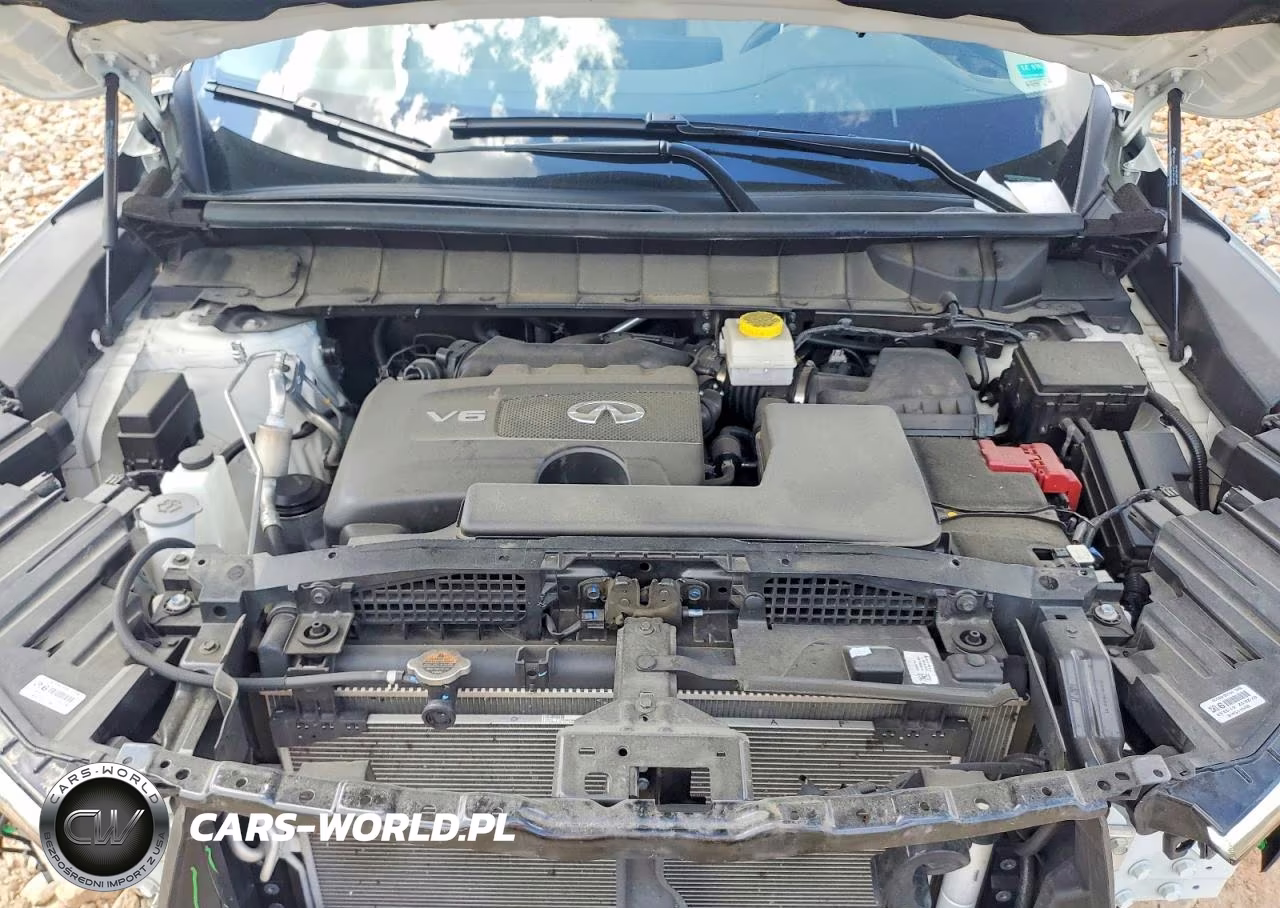 2023 Infiniti Qx60 Pure VIN:5N1DL1ES7PC332868 - 12