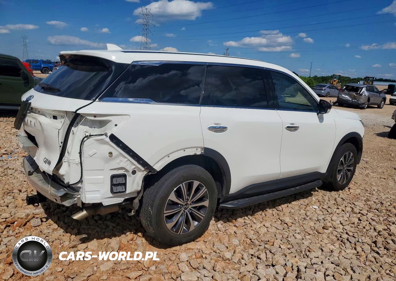 2023 Infiniti Qx60 Pure VIN:5N1DL1ES7PC332868 - 3