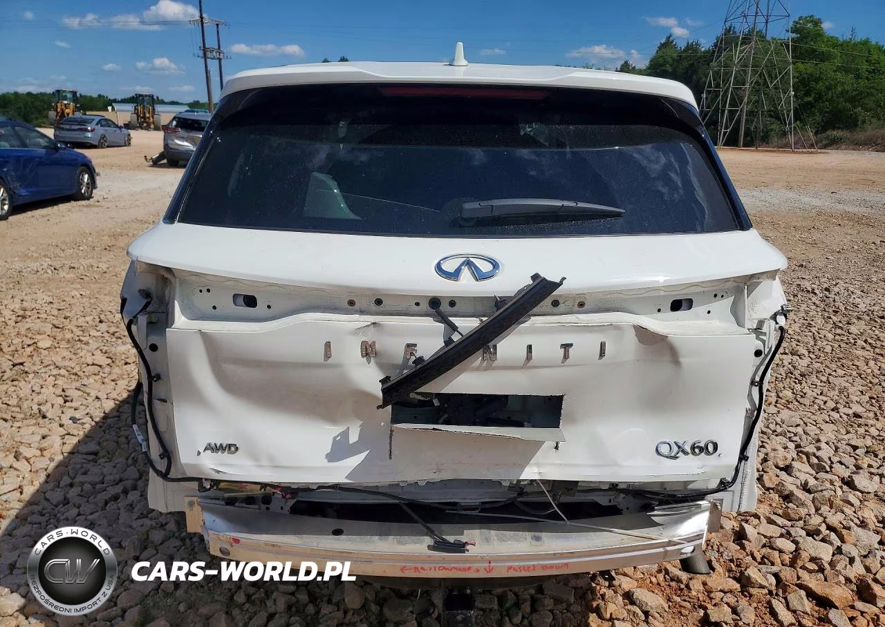 2023 Infiniti Qx60 Pure VIN:5N1DL1ES7PC332868 - 6