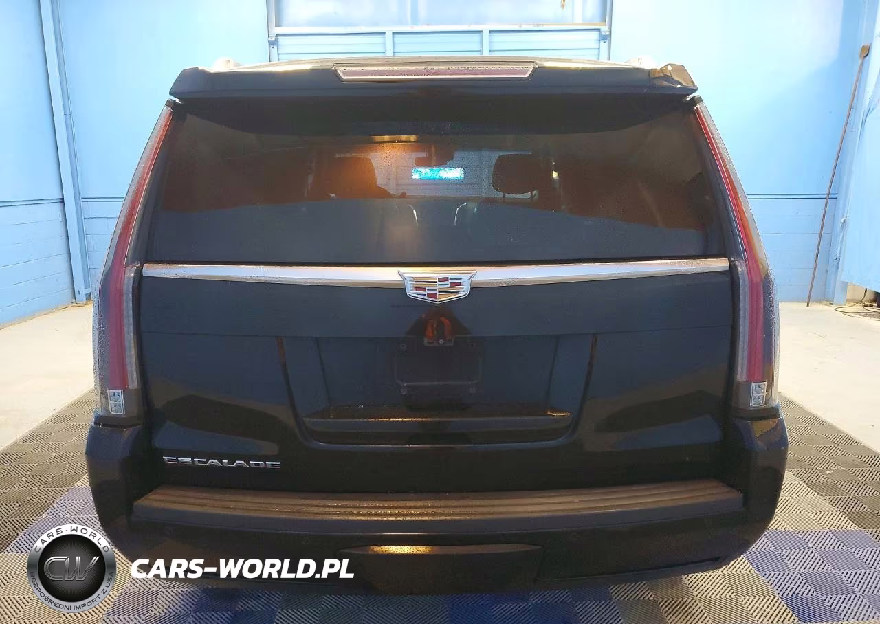 2017 Cadillac Escalade Luxury VIN:1GYS4BKJ1HR197227 - 6