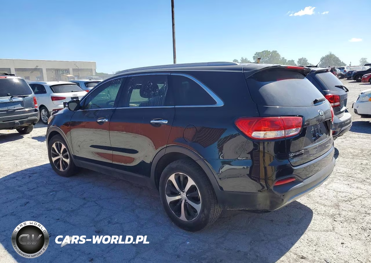 2016 Kia Sorento Ex VIN:5XYPH4A11GG024303 - 2
