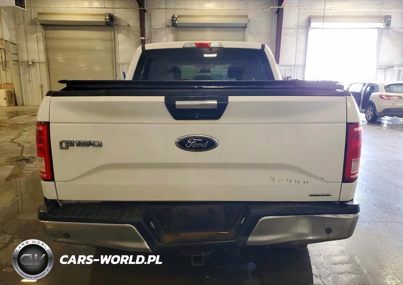 2016 Ford F150 Supercrew VIN:1FTEW1EF4GFD20159 - 6