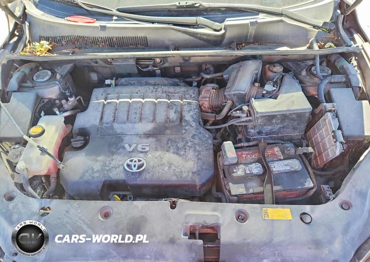 2009 Toyota Rav4 Base VIN:JTMBK33V39D007879 - 11