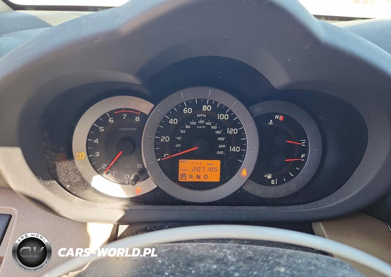 2009 Toyota Rav4 Base VIN:JTMBK33V39D007879 - 9