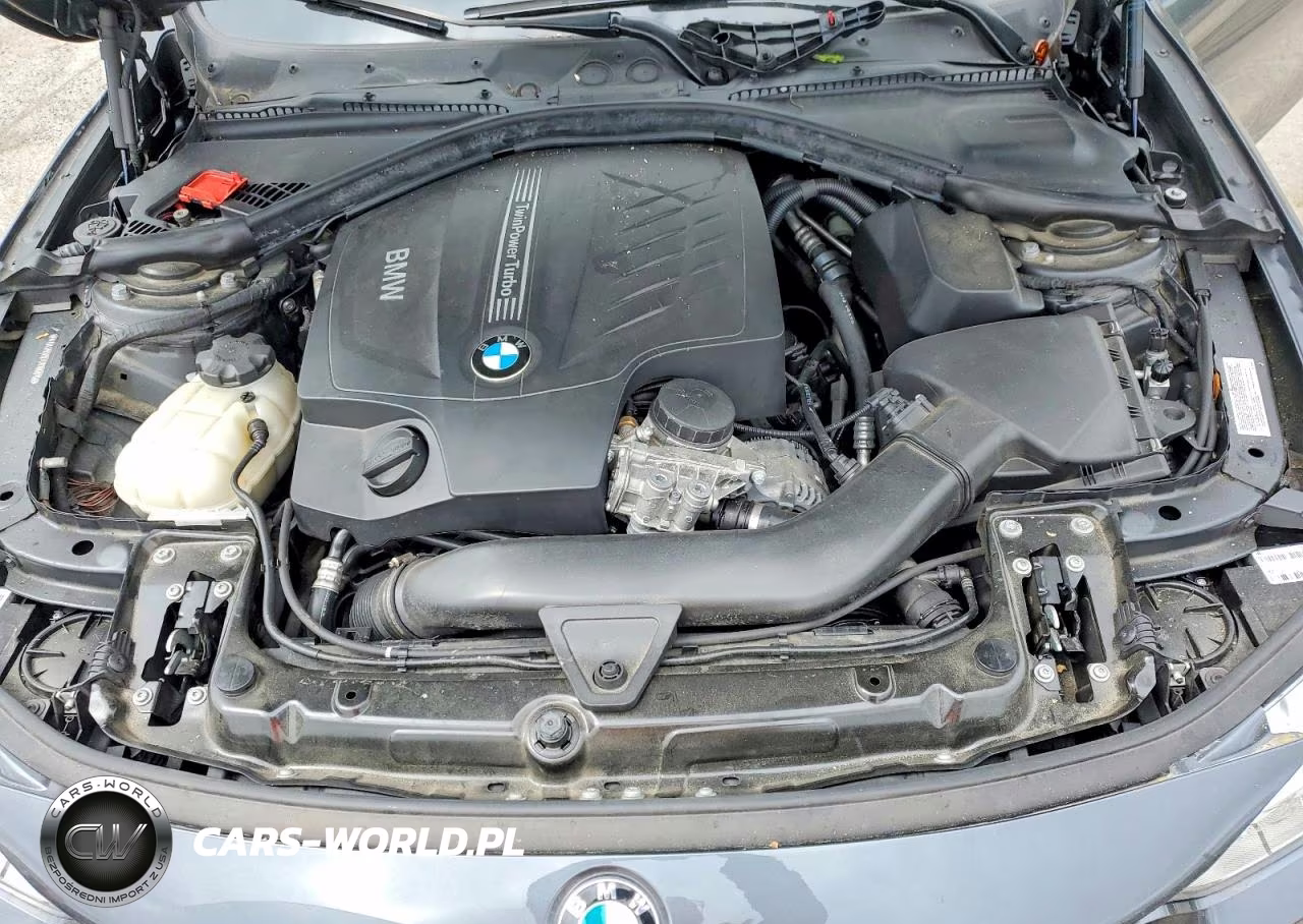 2014 BMW 435 Xi VIN:WBA3R5C57EK186815 - 11