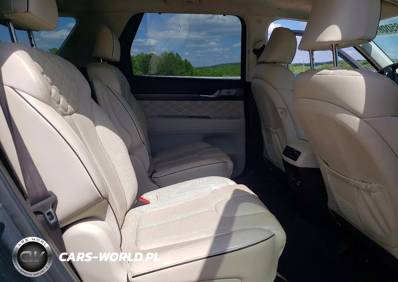 2020 Hyundai Palisade Limited VIN:KM8R5DHEXLU162193 - 11