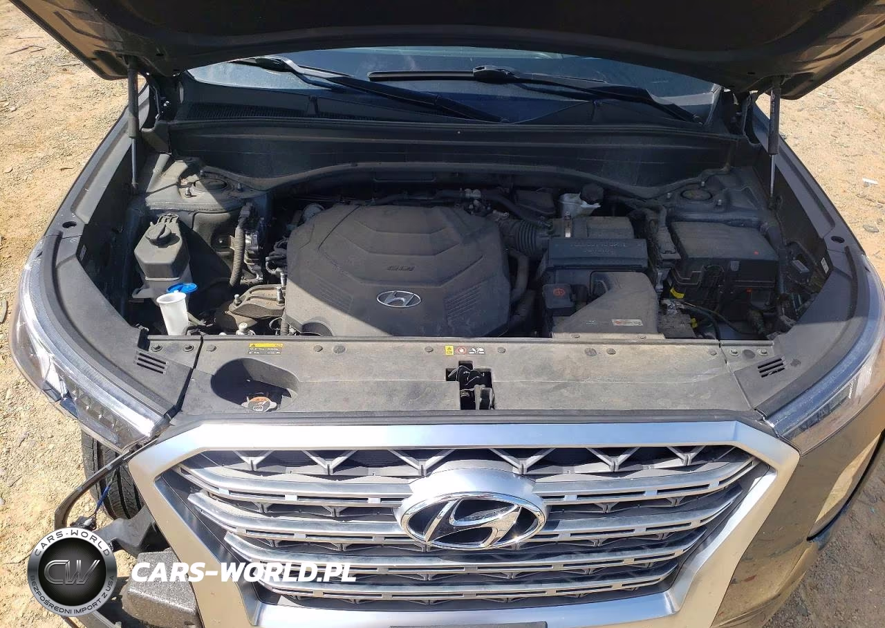2020 Hyundai Palisade Limited VIN:KM8R5DHEXLU162193 - 12