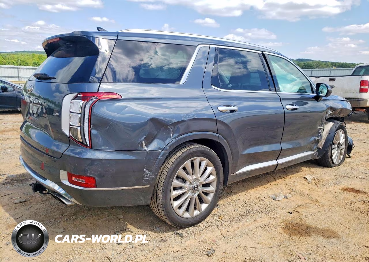 2020 Hyundai Palisade Limited VIN:KM8R5DHEXLU162193 - 3