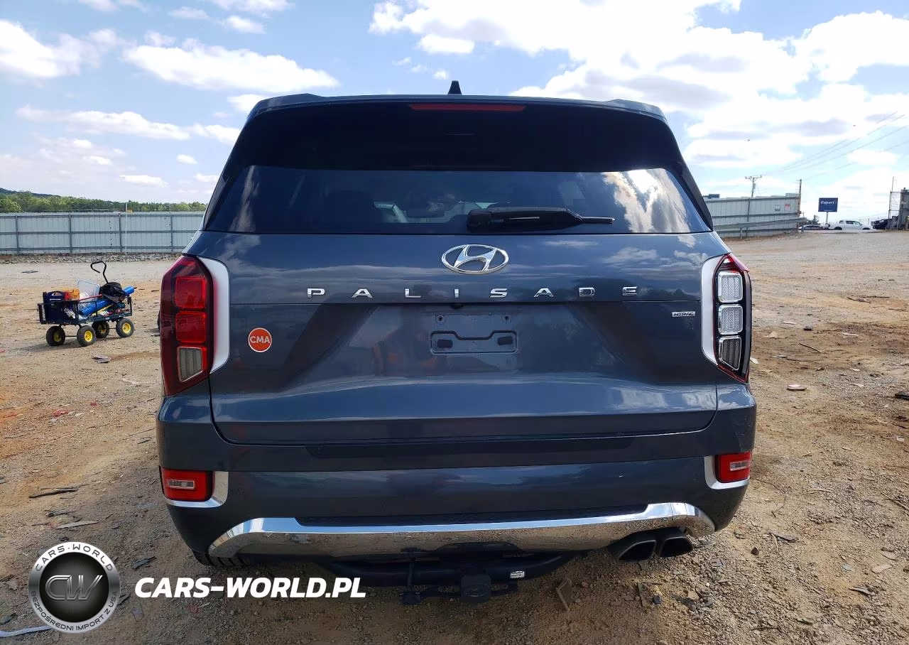 2020 Hyundai Palisade Limited VIN:KM8R5DHEXLU162193 - 6