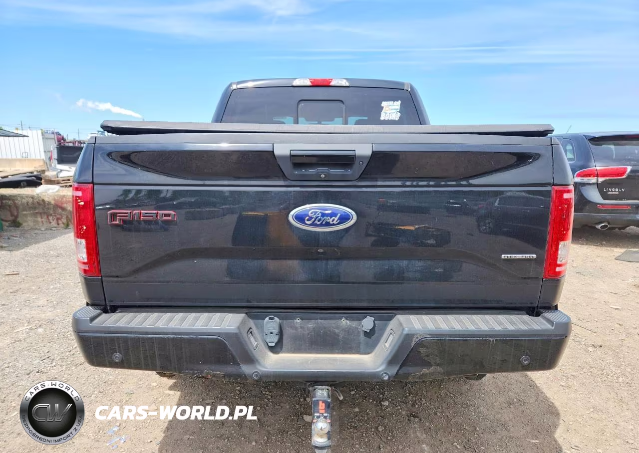 2016 Ford F150 Supercrew VIN:1FTEW1EF3GFC49942 - 6