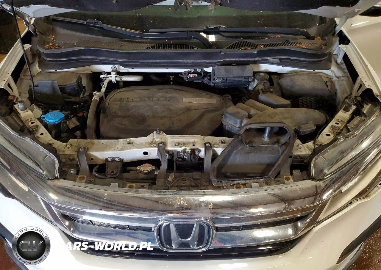 2020 Honda Pilot Elite VIN:5FNYF6H05LB026530 - 12