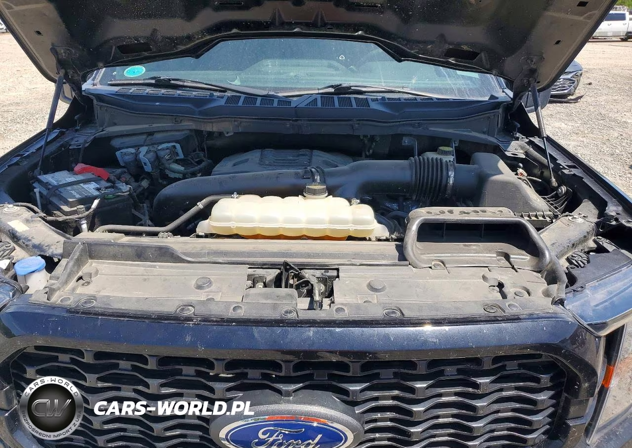 2023 Ford F150 Supercrew VIN:1FTFW1E86PFA11055 - 11