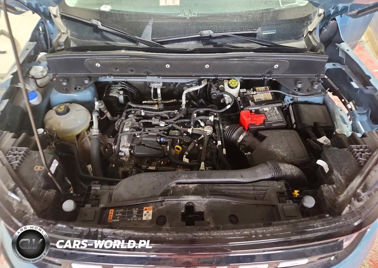 2021 Ford Bronco Sport Outer Banks VIN:3FMCR9C61MRB09432 - 12