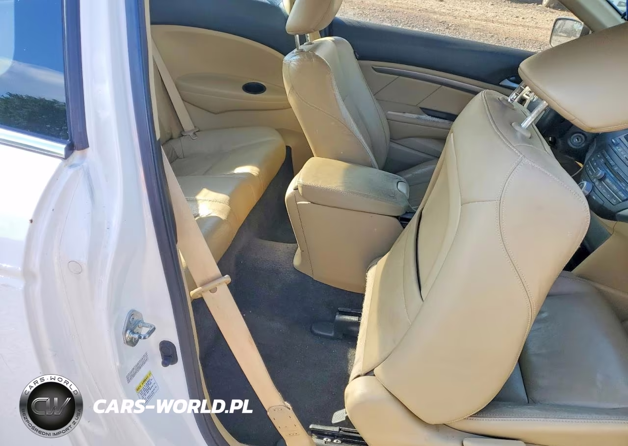 2010 Honda Accord Exl VIN:1HGCS1B84AA003819 - 10