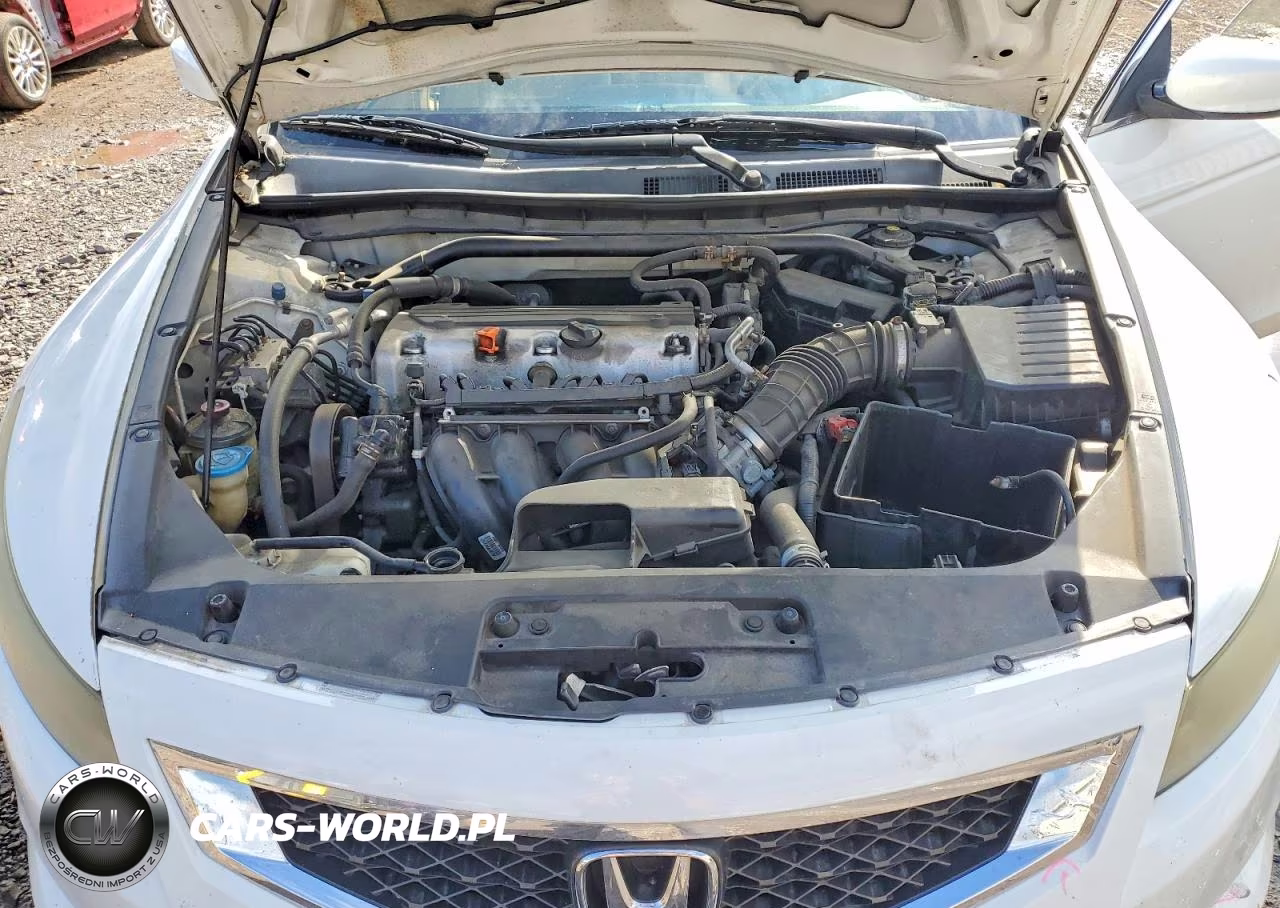 2010 Honda Accord Exl VIN:1HGCS1B84AA003819 - 11