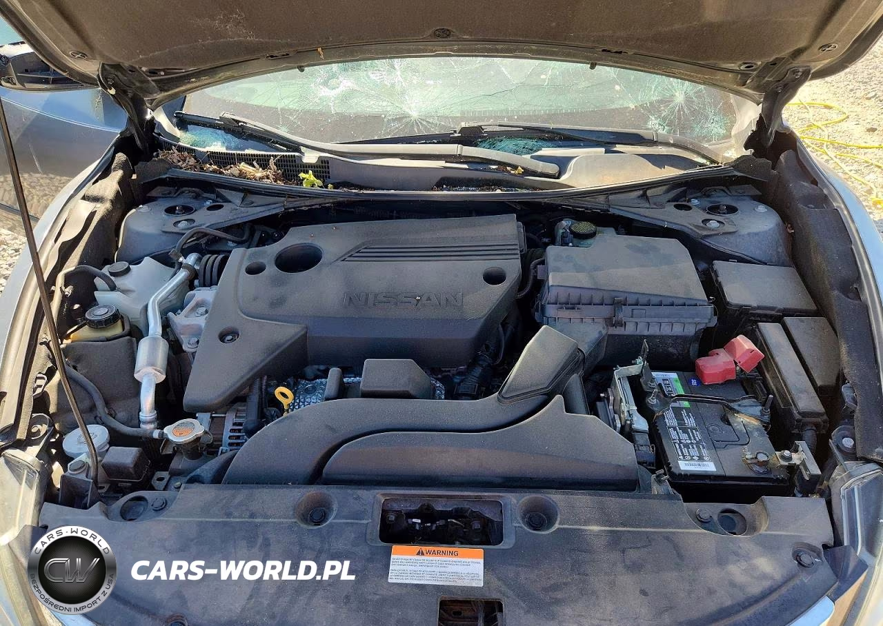 2016 Nissan Altima 2.5 Sv VIN:1N4AL3AP7GC209064 - 11