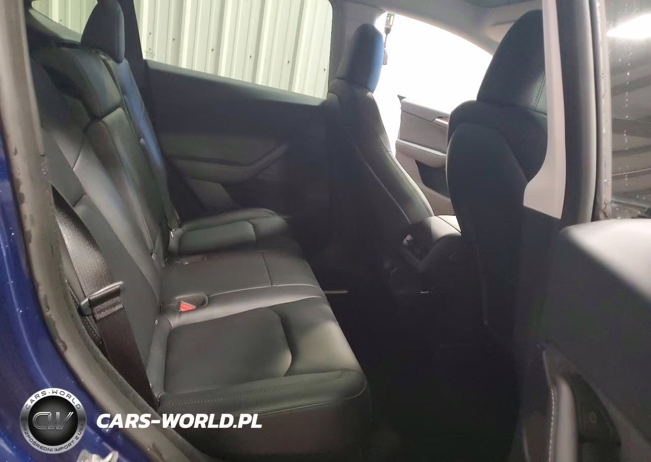 2023 Tesla Model Y VIN:7SAYGDEE8PF847003 - 10