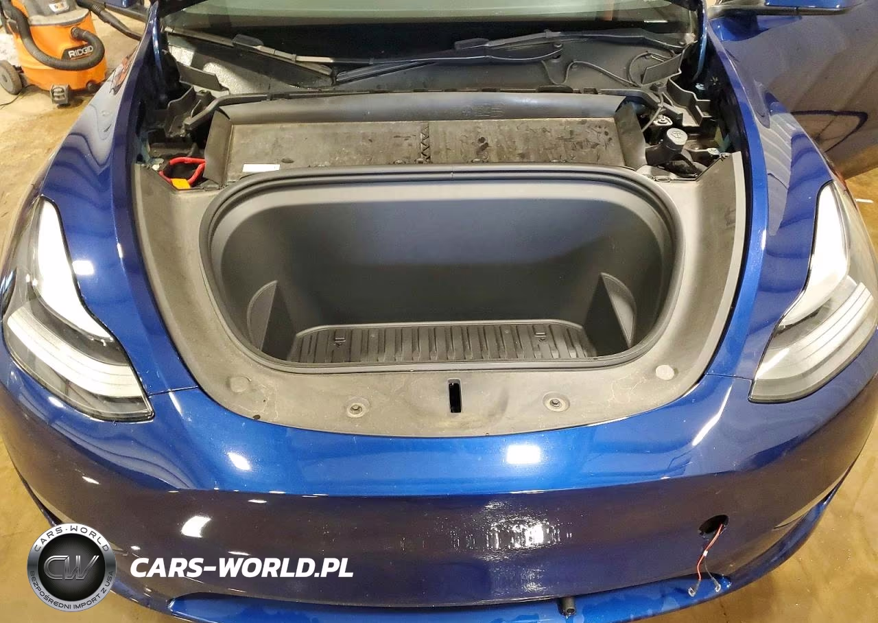 2023 Tesla Model Y VIN:7SAYGDEE8PF847003 - 11