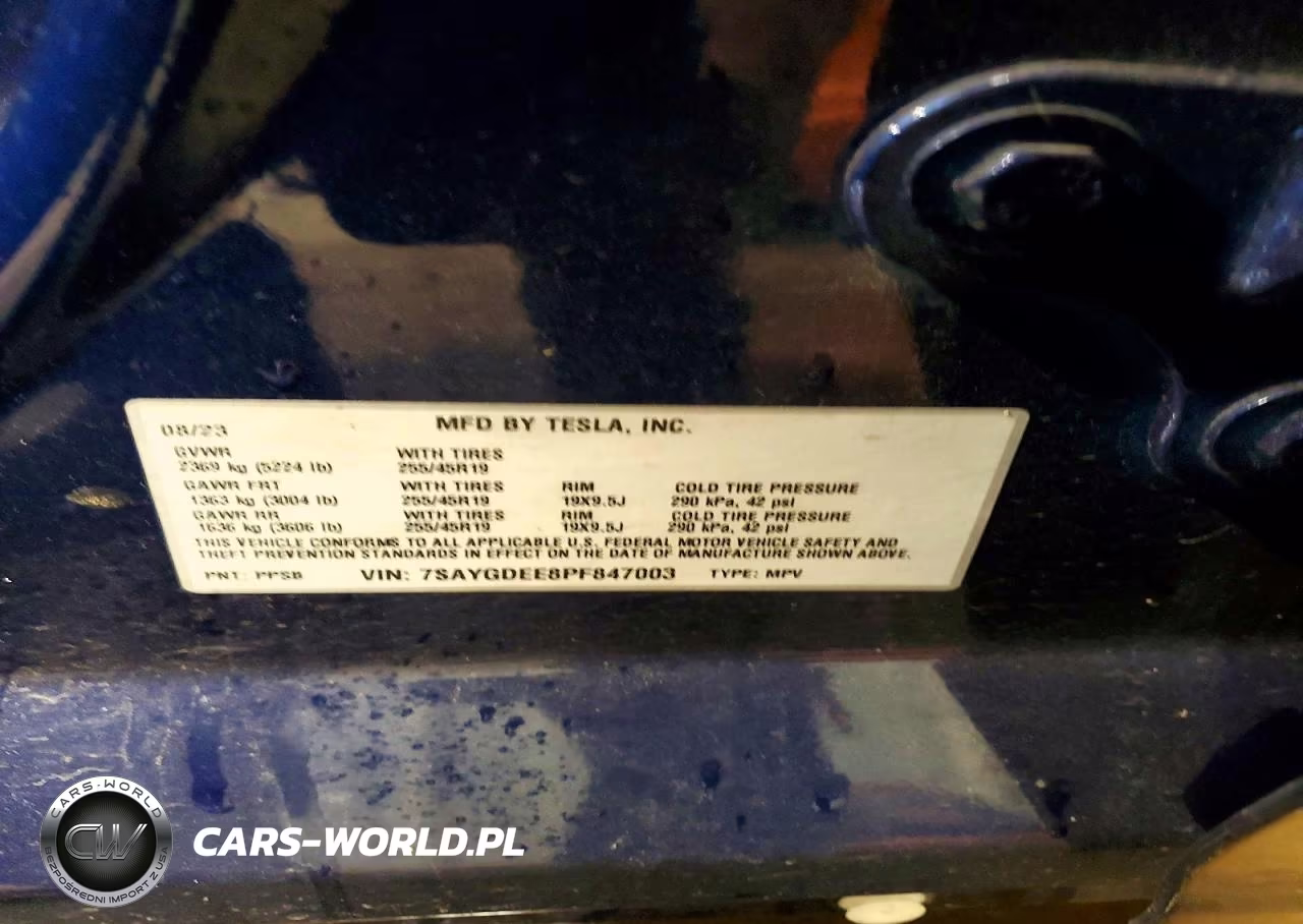 2023 Tesla Model Y VIN:7SAYGDEE8PF847003 - 12