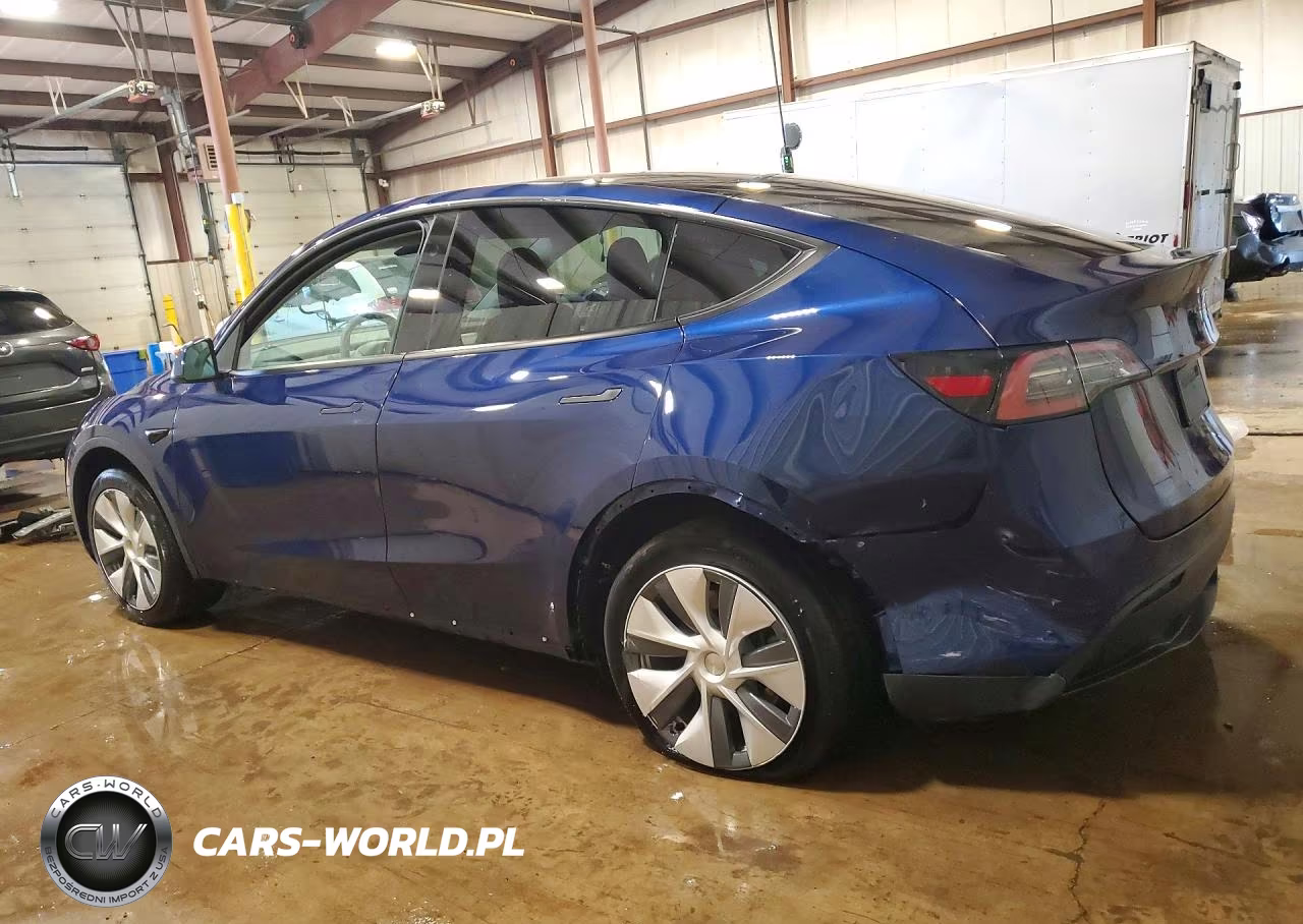 2023 Tesla Model Y VIN:7SAYGDEE8PF847003 - 2