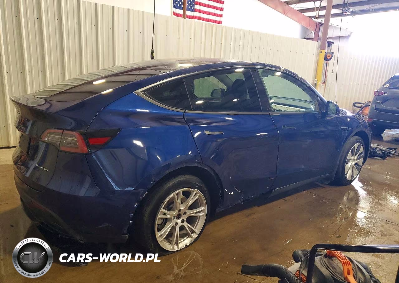 2023 Tesla Model Y VIN:7SAYGDEE8PF847003 - 3