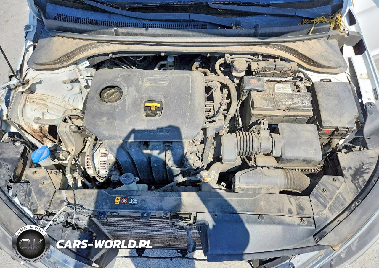 HYUNDAI ELANTRA VIN:5NPD84LF9LH579191 - 11